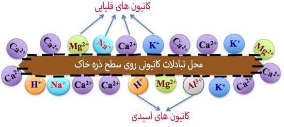 basic_acid_cations_on_soil_particle