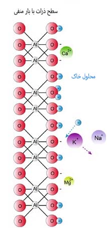 cation_exchange