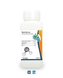 Reinforce