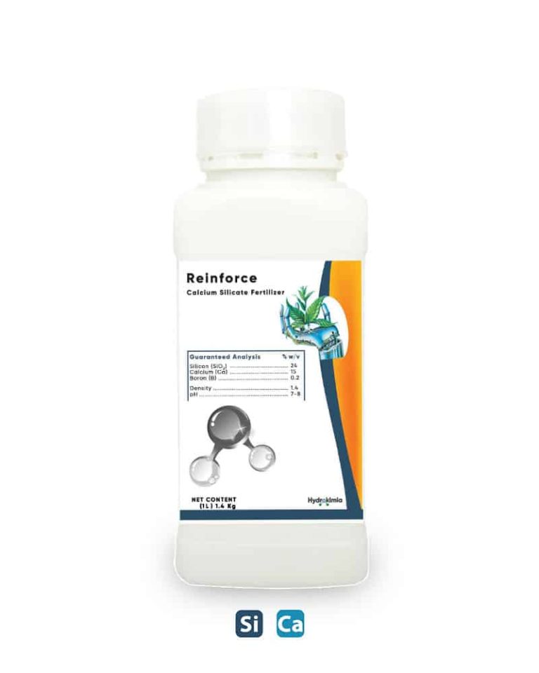 Reinforce